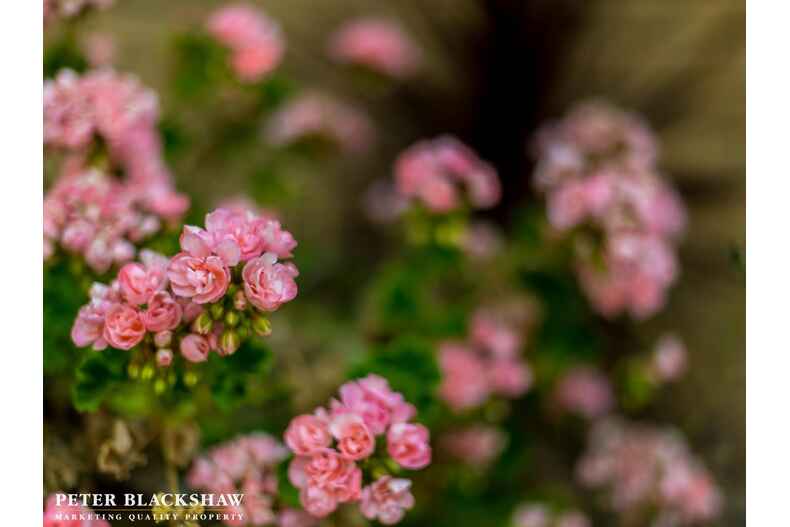 6 Olive Pink Crescent Banks 6 Olive Pink Crescent Banks