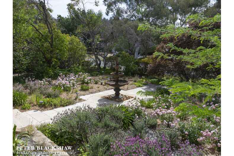 18 Dampier Crescent Forrest 18 Dampier Crescent Forrest