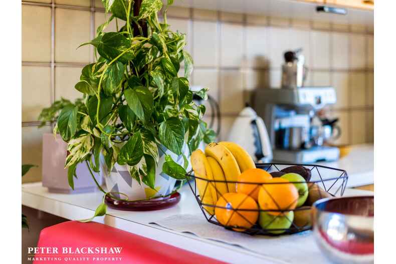 8 Macalpine Close Mckellar 8 Macalpine Close Mckellar