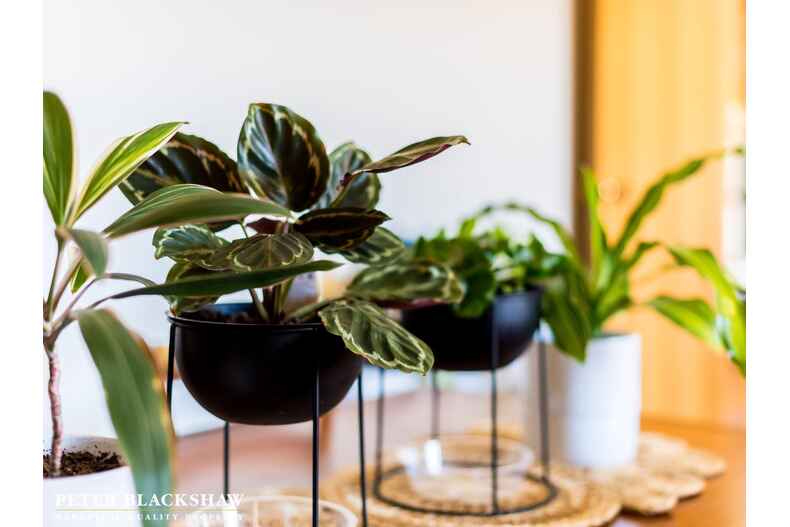 8 Macalpine Close Mckellar 8 Macalpine Close Mckellar