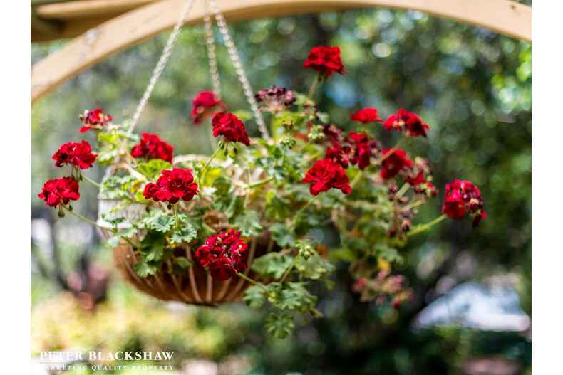 57 Folingsby Street Weston 57 Folingsby Street Weston