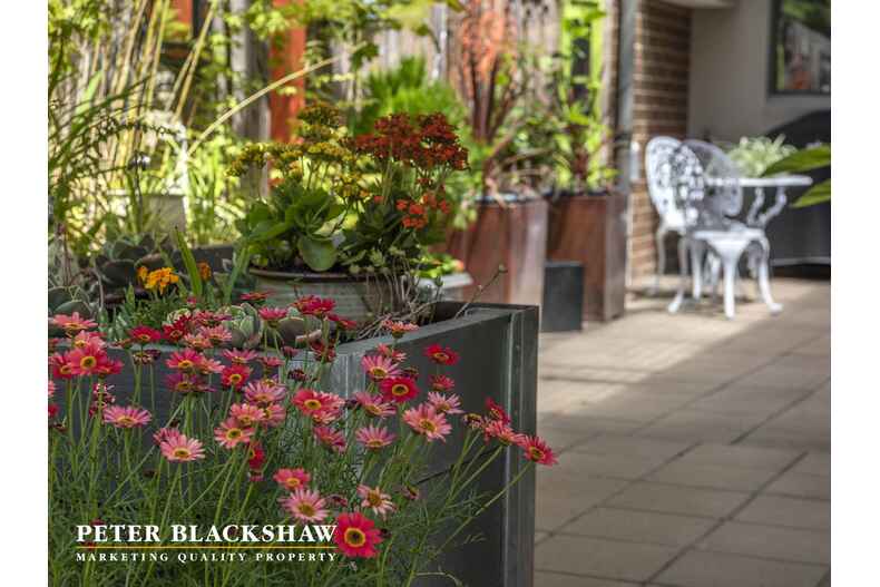 Lot 8/4/1 McWhae Circuit Wanniassa Lot 8/4/1 McWhae Circuit Wanniassa