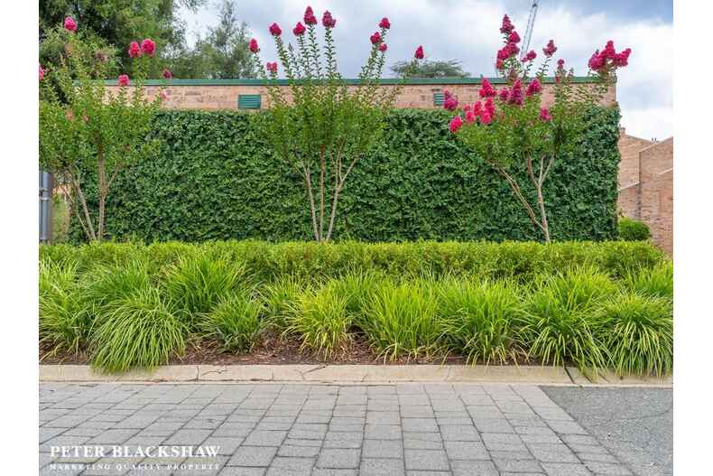 39/1 Allambee Street Reid 39/1 Allambee Street Reid