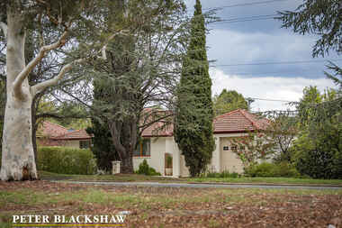 66 Captain Cook Crescent Griffith