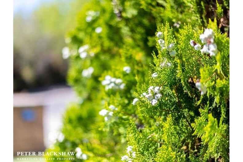 1/13 Mollee Crescent Isabella Plains 1/13 Mollee Crescent Isabella Plains