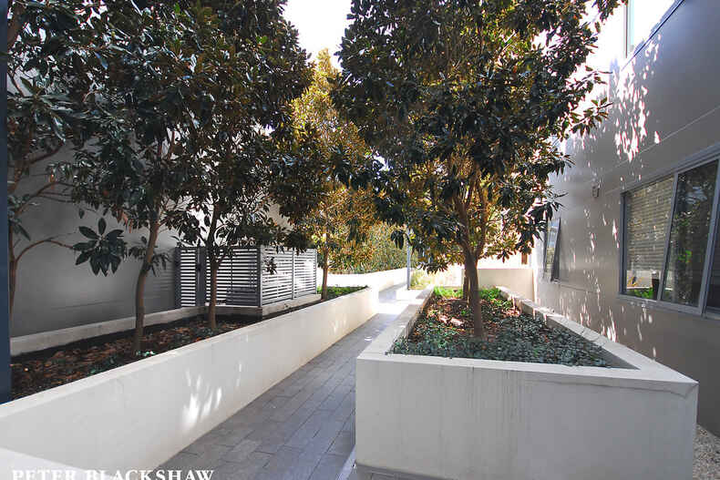 50/15 Coranderrk Street City