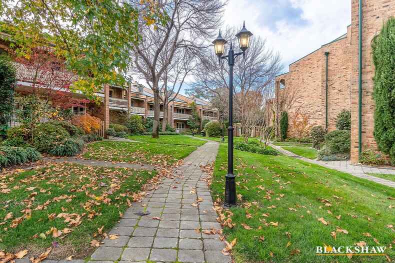 17/3 Allambee Street Reid