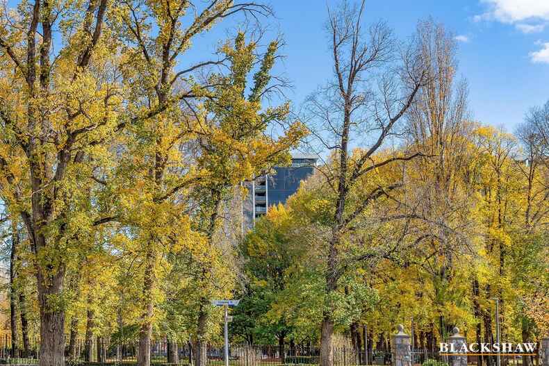 17/3 Allambee Street Reid