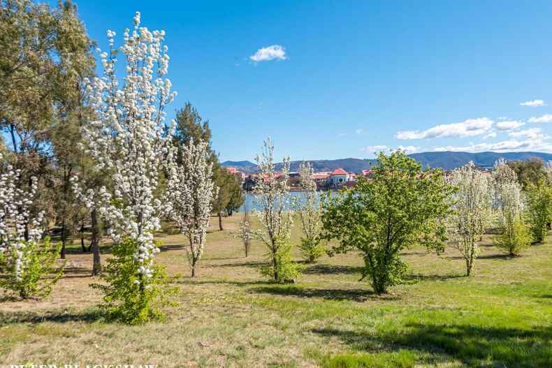 3 Rounsevell Street Kambah