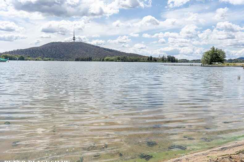 4 Maiden Street Yarralumla