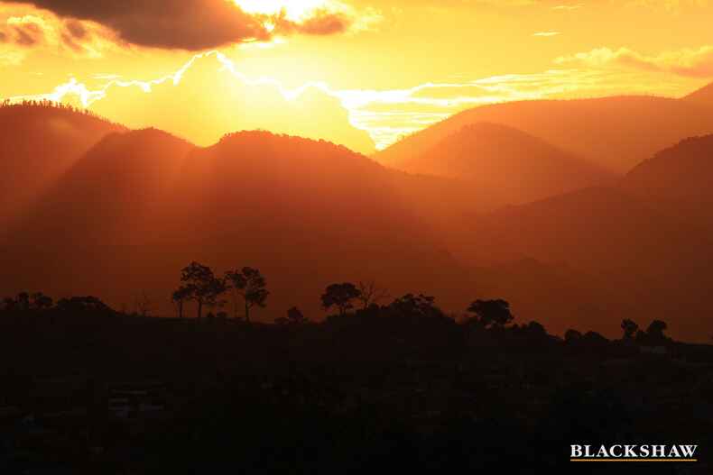 15 Barringer Street Conder 15 Barringer Street Conder