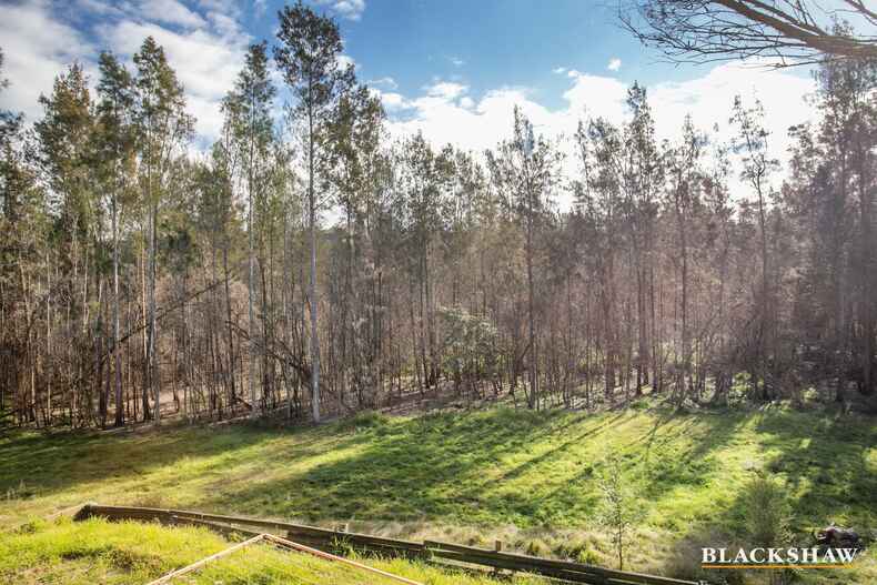 16 Heron Road Catalina 16 Heron Road Catalina