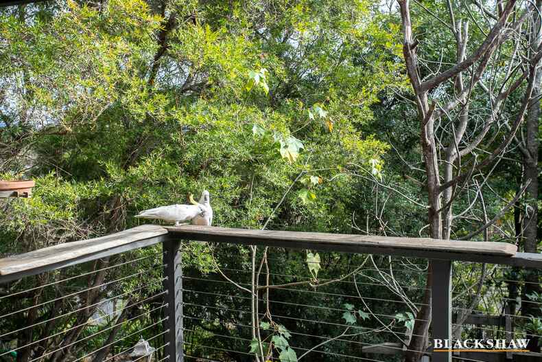 11C South Street Batemans Bay 11C South Street Batemans Bay