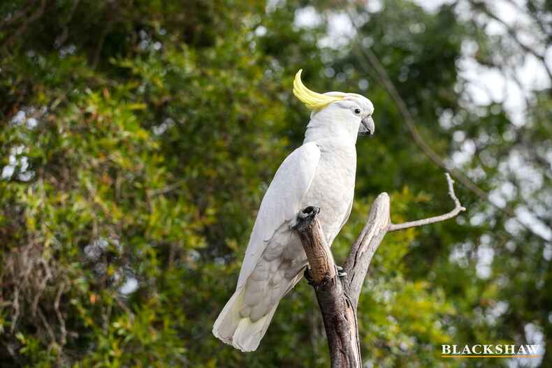 11C South Street Batemans Bay 11C South Street Batemans Bay