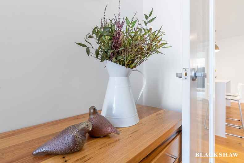 29 Shingleback Street Throsby 29 Shingleback Street Throsby