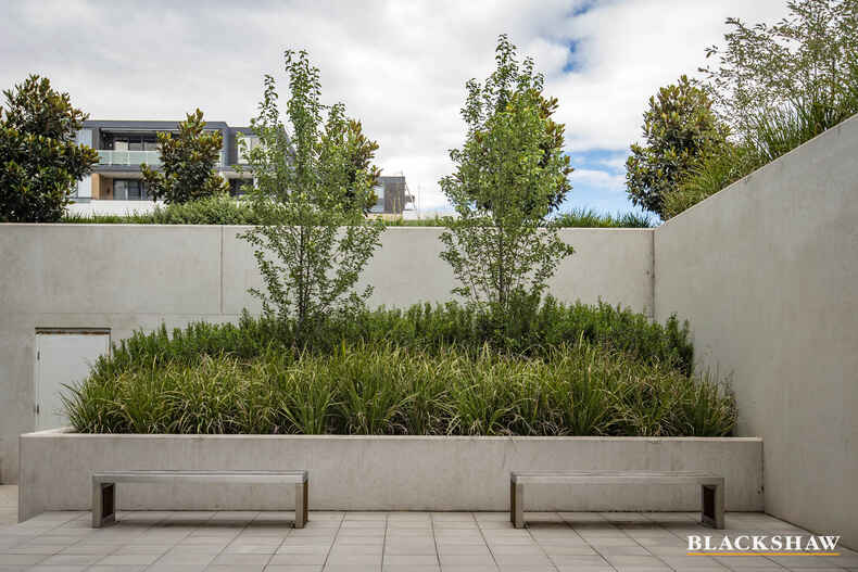119/5 Burnie Street Lyons
