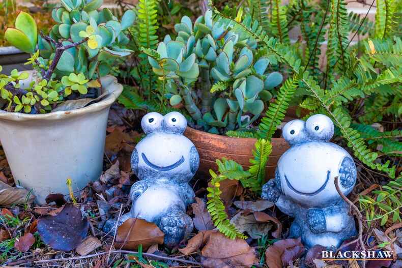 3/51 Mainwaring Rich Circuit Palmerston 3/51 Mainwaring Rich Circuit Palmerston