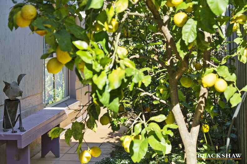 11/1 Delamere Street Hawker 11/1 Delamere Street Hawker