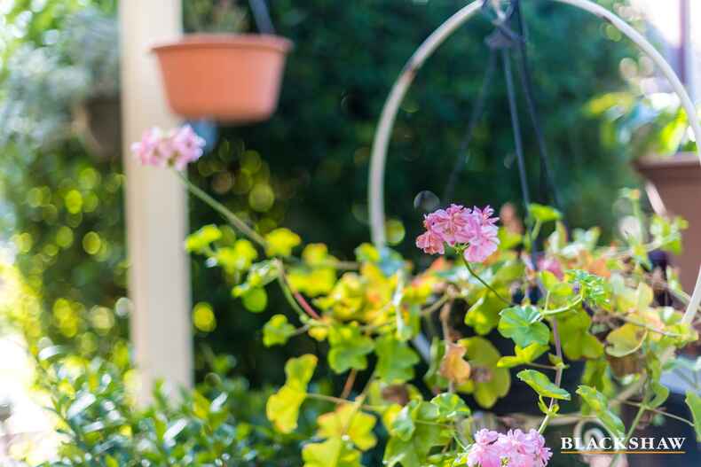 10 Lempriere Crescent Kambah 10 Lempriere Crescent Kambah