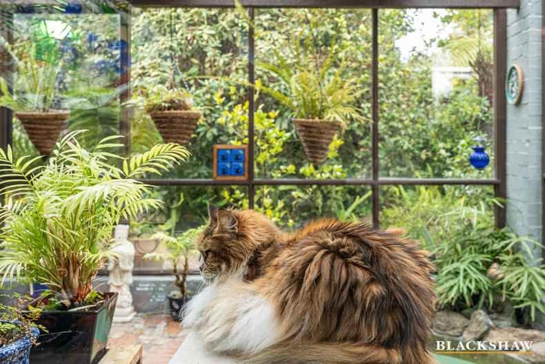 8 Gidabal Street Aranda 8 Gidabal Street Aranda