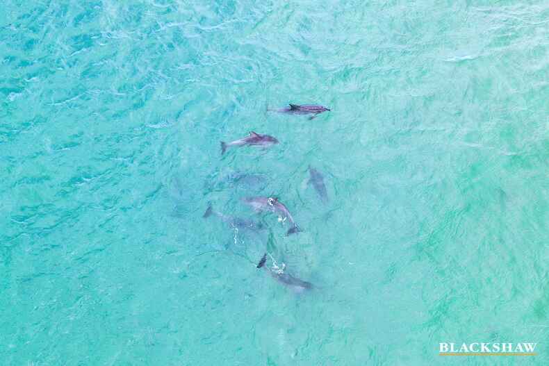 5/5 Edgewood Place Denhams Beach 5/5 Edgewood Place Denhams Beach