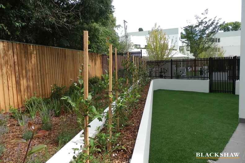 3/6 Cunningham Street Griffith