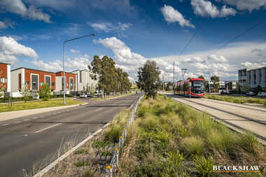 56/224 Flemington Road Harrison