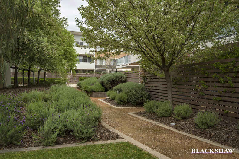 56/116 Easty Street Phillip