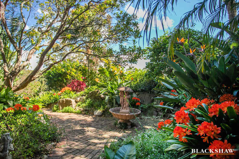113 Vista Avenue Catalina