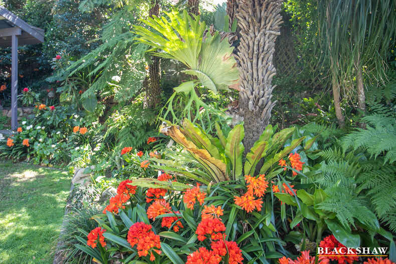113 Vista Avenue Catalina