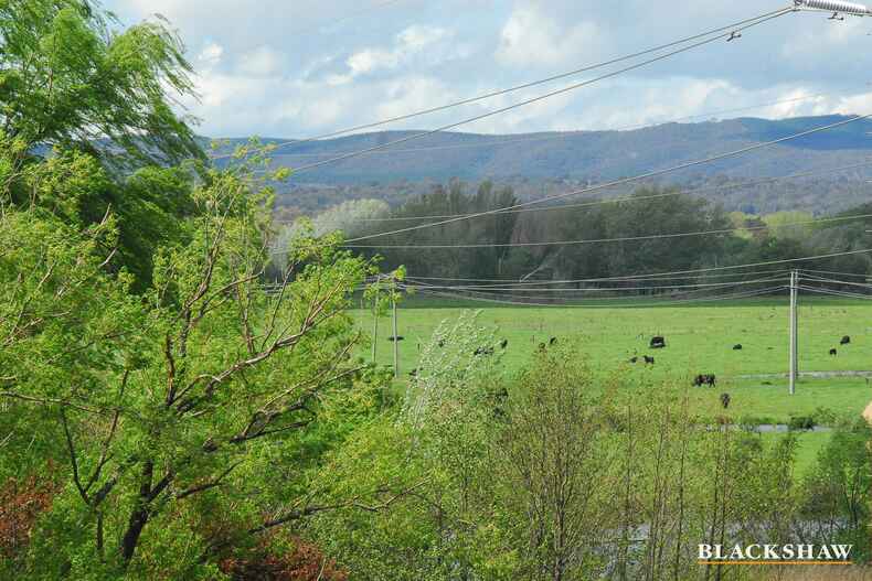 407/55 The Causeway  Kingston