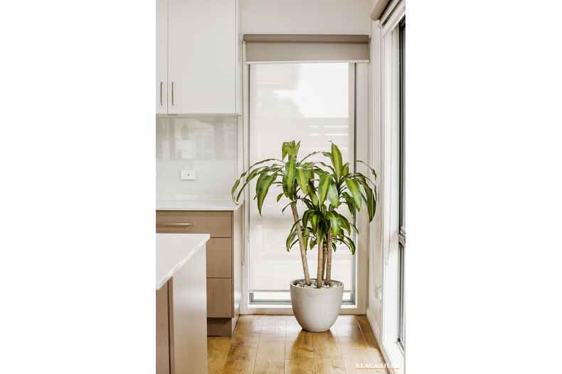 24 Durong Street Crace