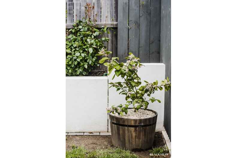 24 Durong Street Crace