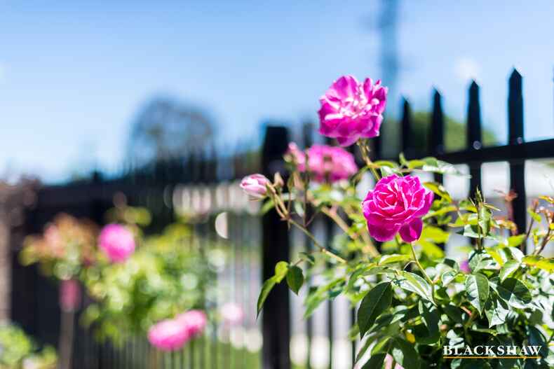 1/65 Forster Street Bungendore