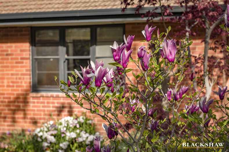 17 Macartney Crescent Deakin