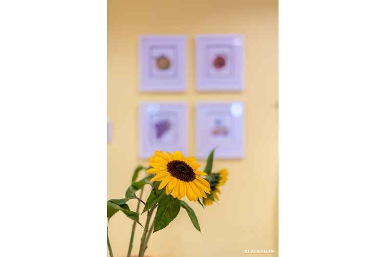 30 Sadlier Street Gowrie 30 Sadlier Street Gowrie