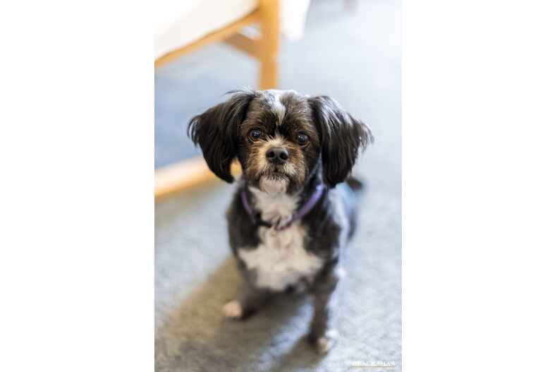 9/40 Philip Hodgins Street Wright 9/40 Philip Hodgins Street Wright