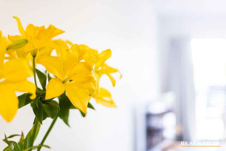 9/40 Philip Hodgins Street Wright 9/40 Philip Hodgins Street Wright