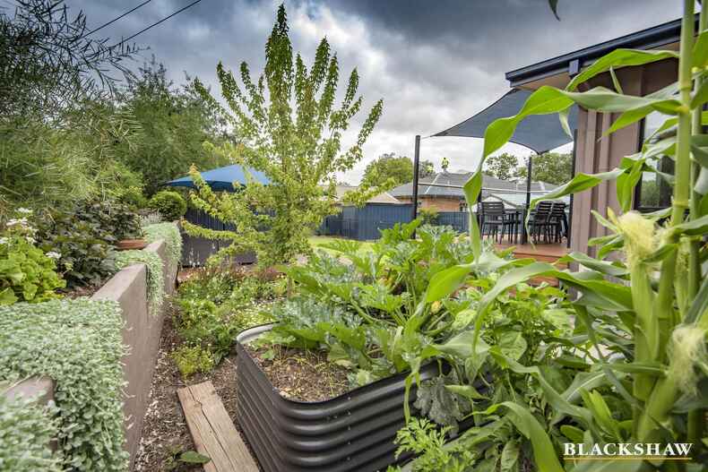 44 Maclaurin Crescent Chifley