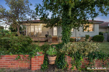 3 Hartog Street Griffith