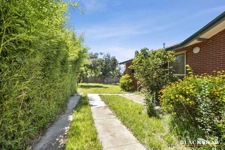 53 Walker Crescent Narrabundah