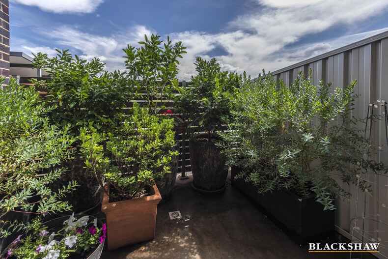 16/86 Mawson Drive Mawson