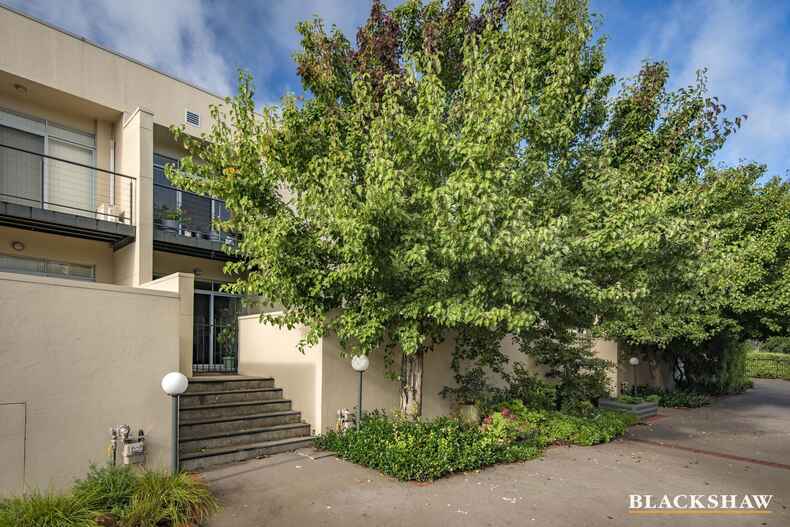 5/51 Blackwood Terrace Holder