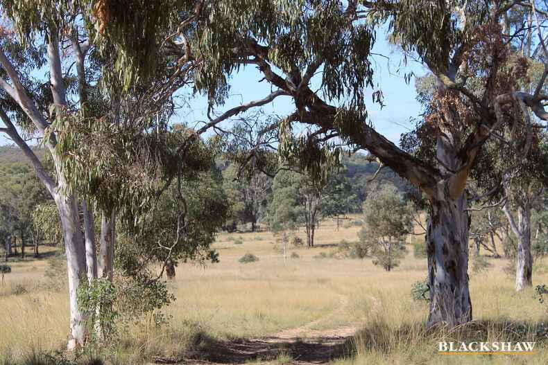 376 Back Creek Road Gundaroo 376 Back Creek Road Gundaroo