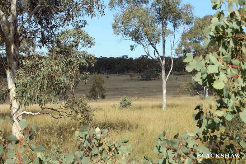 376 Back Creek Road Gundaroo 376 Back Creek Road Gundaroo