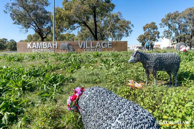 95 Learmonth Drive Kambah 95 Learmonth Drive Kambah