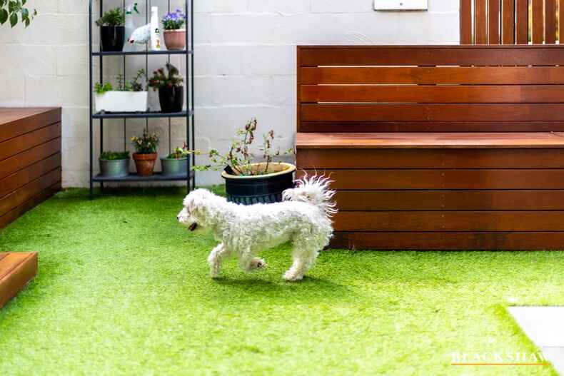 42 Bernard Heinze Avenue Moncrieff 42 Bernard Heinze Avenue Moncrieff