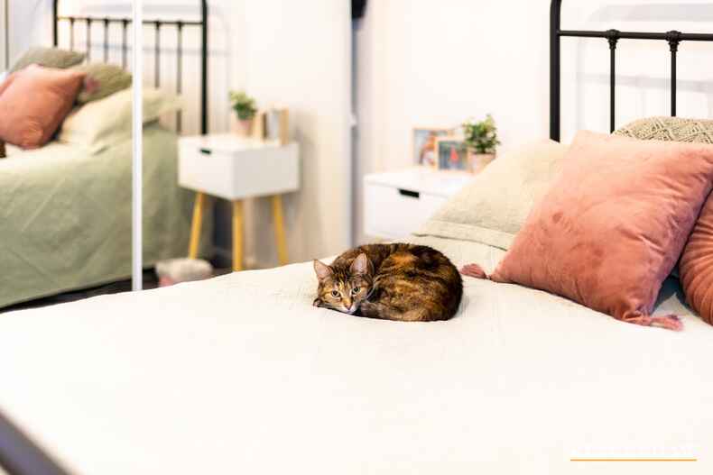 42 Bernard Heinze Avenue Moncrieff 42 Bernard Heinze Avenue Moncrieff