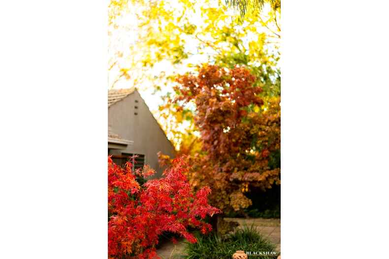 15 Bremer Street Griffith 15 Bremer Street Griffith