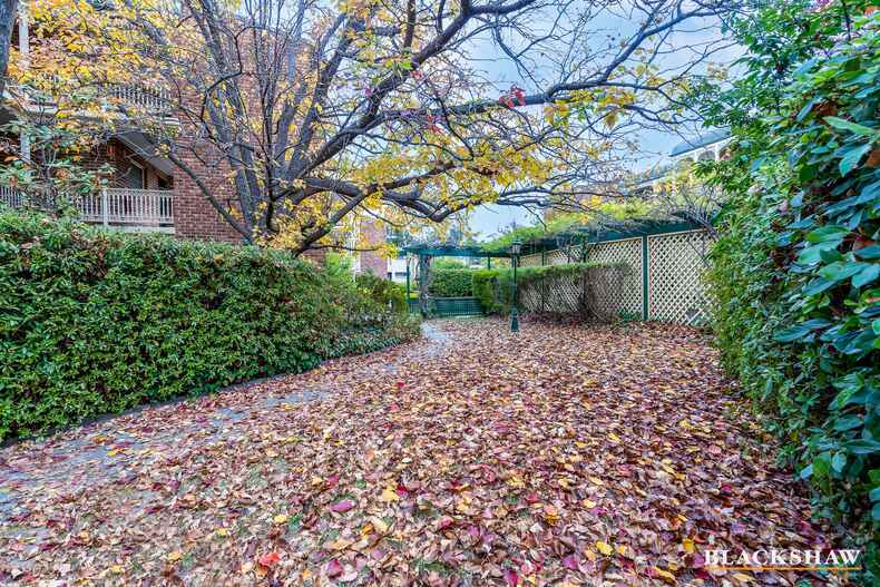 111/11 Giles Street Griffith 111/11 Giles Street Griffith